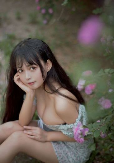 铁齿铜牙纪晓岚第五部_DVD影视在线观看