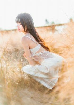 宝可梦旅途第一季免费观看中文版_超清免费播放