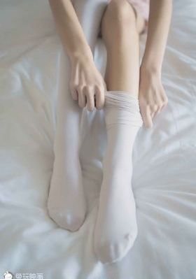 探索者的羽翼3第三季_1080免费在线播放