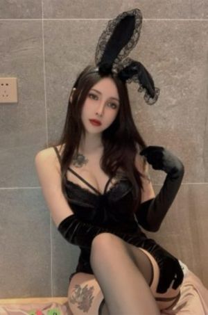 国际刑警电视剧_720在线手机播放
